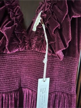 Love The Label Velvet Maxi Dress in Plum